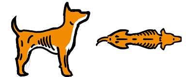 犬の痩せている体型
