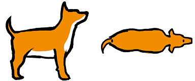 犬のやや太っている体型