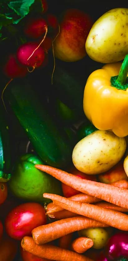 Meal Kit Background